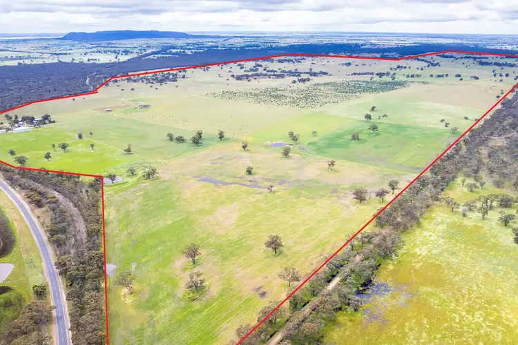 Main view of Homely rural property listing, 4601 Wimmera Highway, Tooan VIC 3409