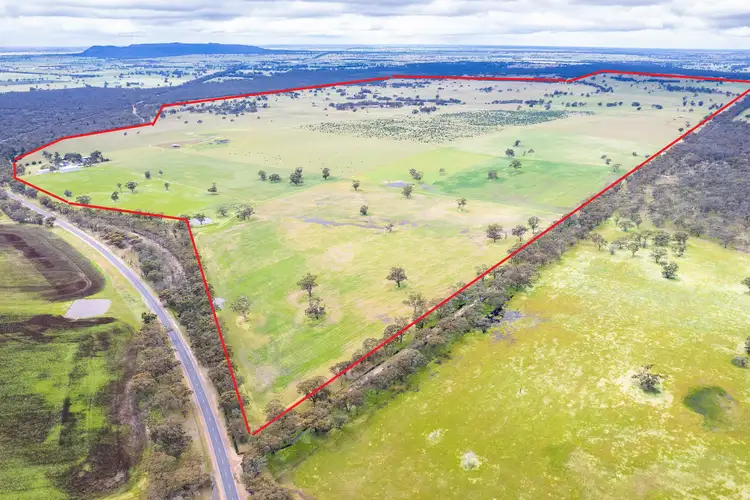 Third view of Homely rural property listing, 4601 Wimmera Highway, Tooan VIC 3409