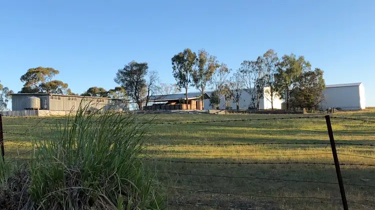 Fourth view of Homely rural property listing, 4601 Wimmera Highway, Tooan VIC 3409