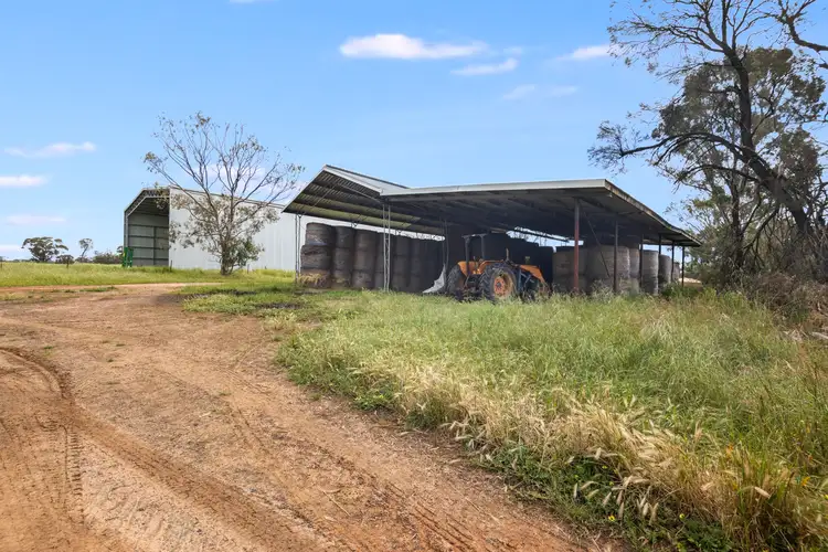 Fifth view of Homely rural property listing, 4601 Wimmera Highway, Tooan VIC 3409