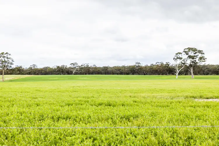 Sixth view of Homely rural property listing, 4601 Wimmera Highway, Tooan VIC 3409