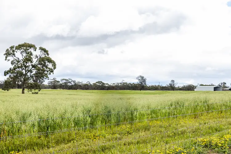 Seventh view of Homely rural property listing, 4601 Wimmera Highway, Tooan VIC 3409