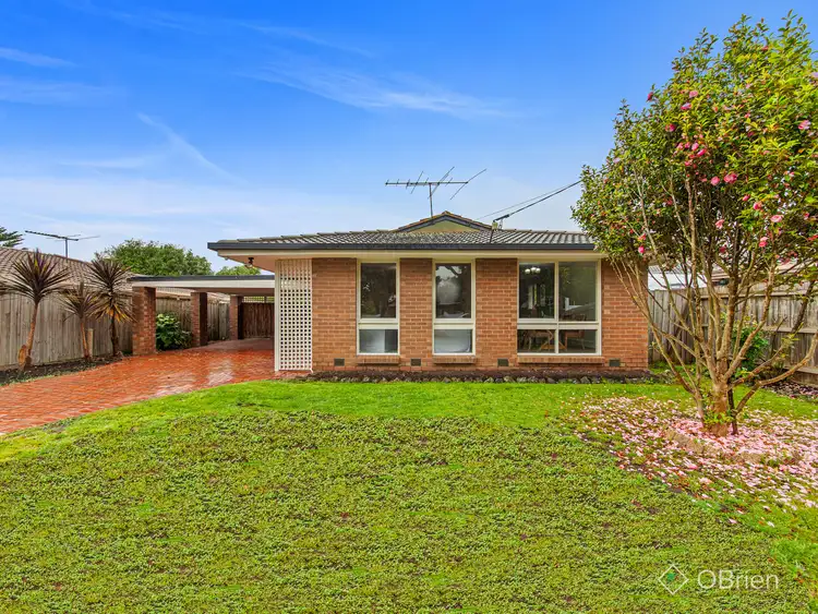 Second view of Homely house listing, 11 Delepan Drive, Tyabb VIC 3913