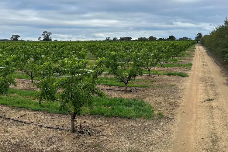 Fourth view of Homely land listing, 1400 Larissa Road, Cobram VIC 3644