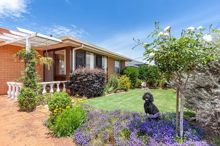 Second view of Homely house listing, 20 Faith Street, Rangeville QLD 4350