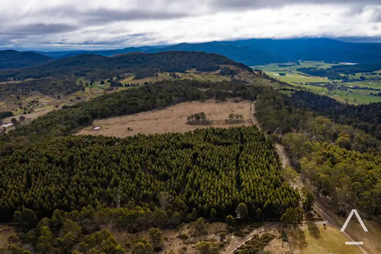 Third view of Homely house listing, 2238 Deddington Road, Blessington TAS 7212