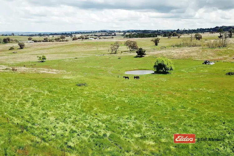 357 Mount Rankin Road, Mount Rankin NSW 2795