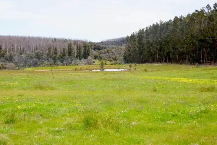 243 Coopers Road, Duncan SA 5223