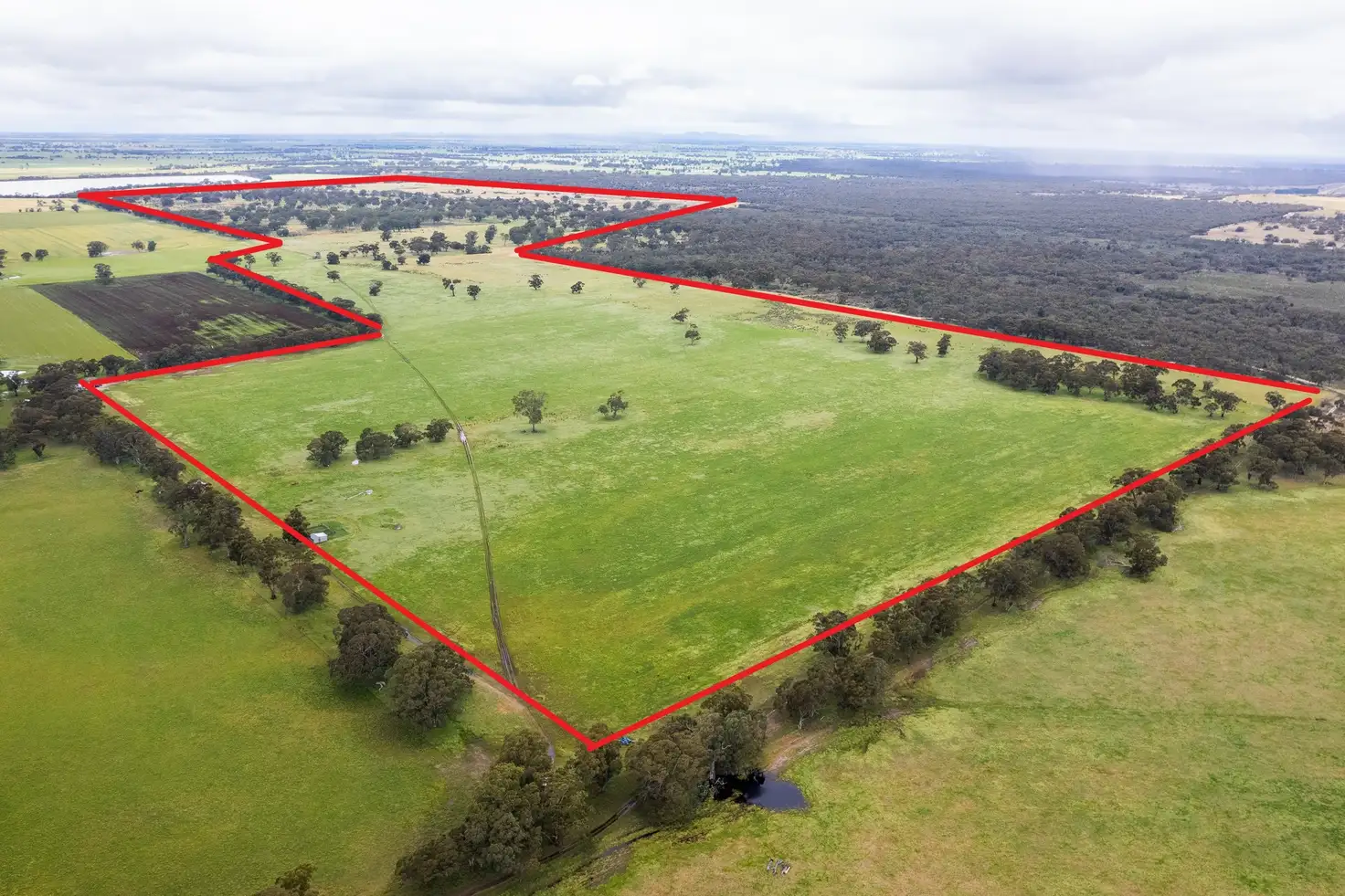 Main view of Homely rural property listing, Chapmans Lane, Tooan VIC 3409