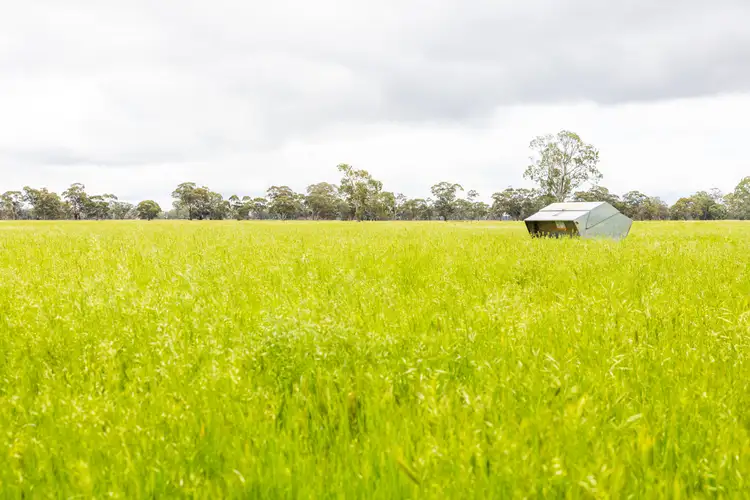 Second view of Homely rural property listing, Chapmans Lane, Tooan VIC 3409
