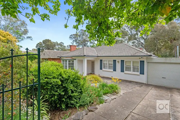 13 Wahroonga Avenue, Wattle Park SA 5066