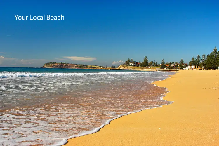 Sixth view of Homely house listing, 41 Alexander Street, Collaroy NSW 2097