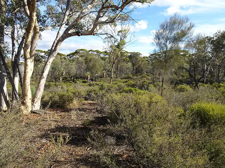 Third view of Homely rural property listing, Lot C, 152 Great Southern Highway, Popanyinning WA 6309