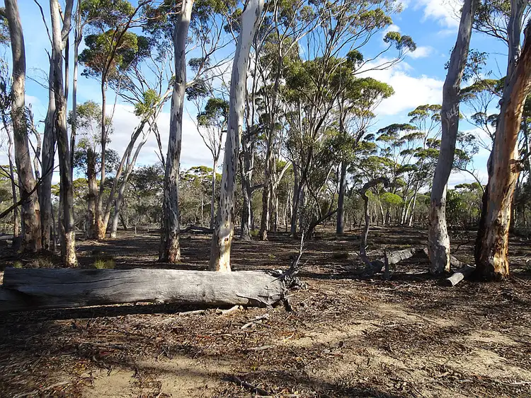 Fourth view of Homely rural property listing, Lot C, 152 Great Southern Highway, Popanyinning WA 6309