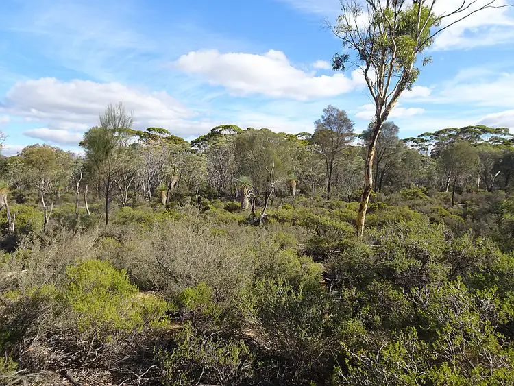 Fifth view of Homely rural property listing, Lot C, 152 Great Southern Highway, Popanyinning WA 6309