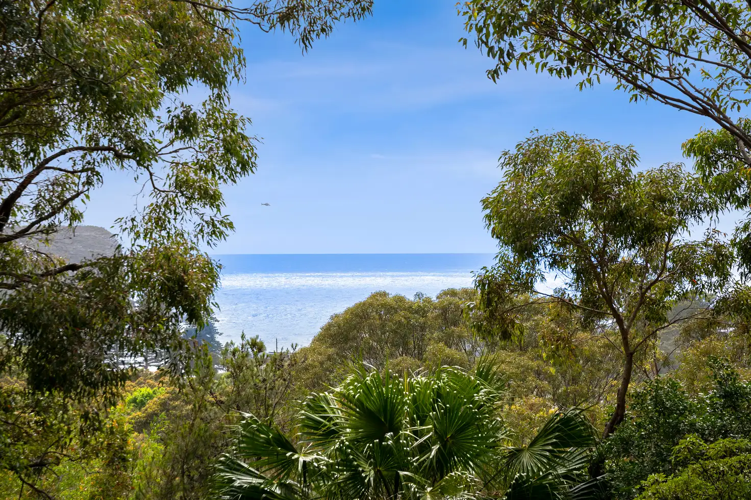 Main view of Homely house listing, 26 Palmgrove Road, Avalon Beach NSW 2107