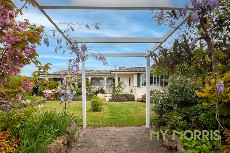Main view of Homely house listing, 7 Serpentine Street, Duffy ACT 2611
