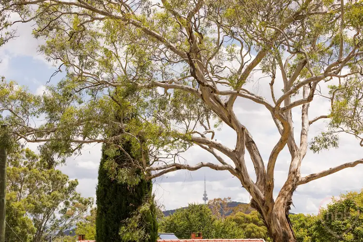 Fourth view of Homely house listing, 12 Duffy Street, Ainslie ACT 2602