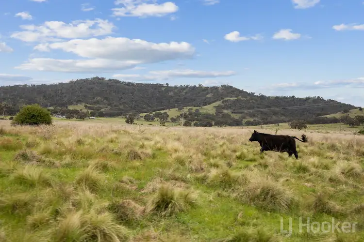 Sixth view of Homely rural property listing, 58 Black Flat Road, Burra NSW 2620