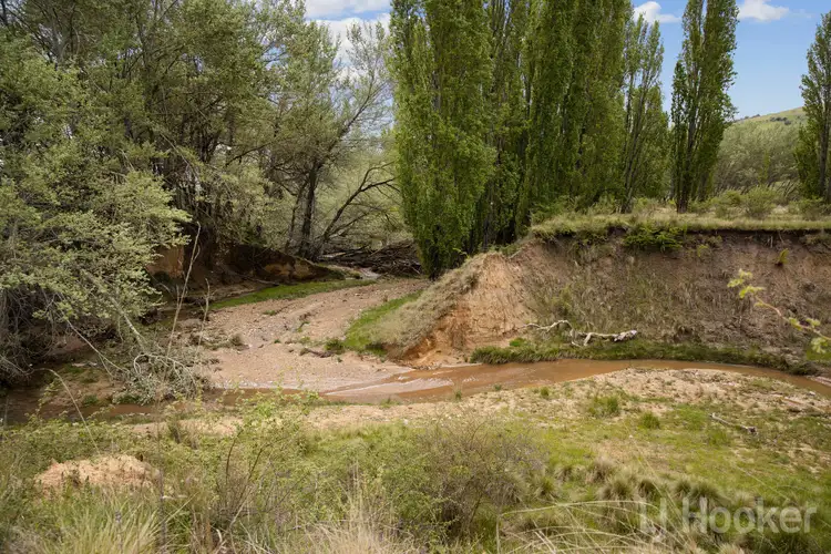 Seventh view of Homely rural property listing, 58 Black Flat Road, Burra NSW 2620