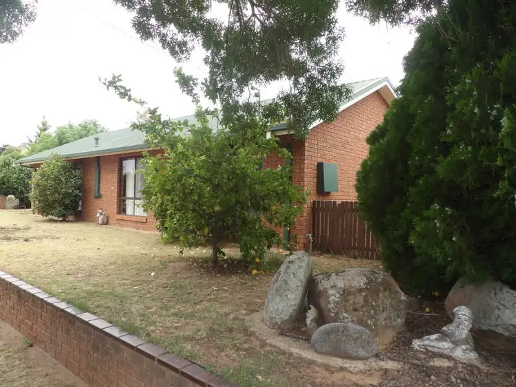 61 Collie Street