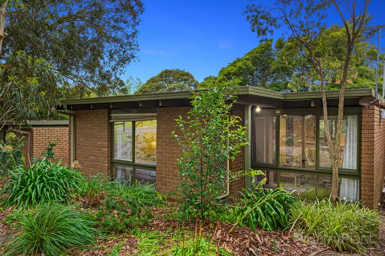 3/1 Wilson Street, Ringwood East VIC 3135