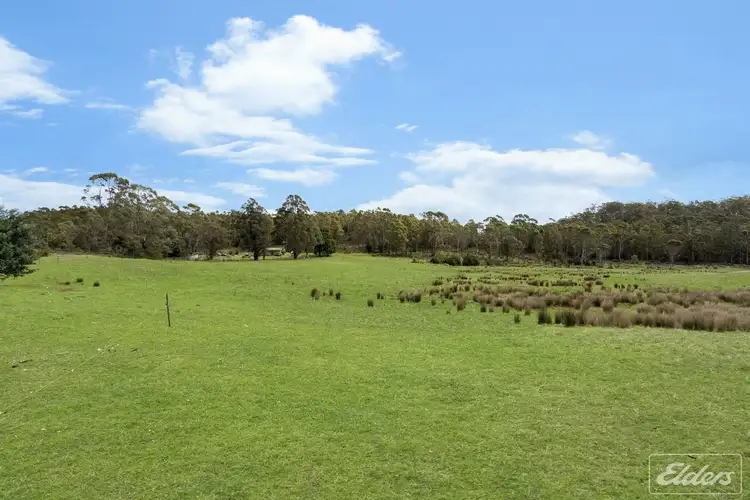 Fifth view of Homely rural property listing, 2600 Frankford Road, Frankford TAS 7275