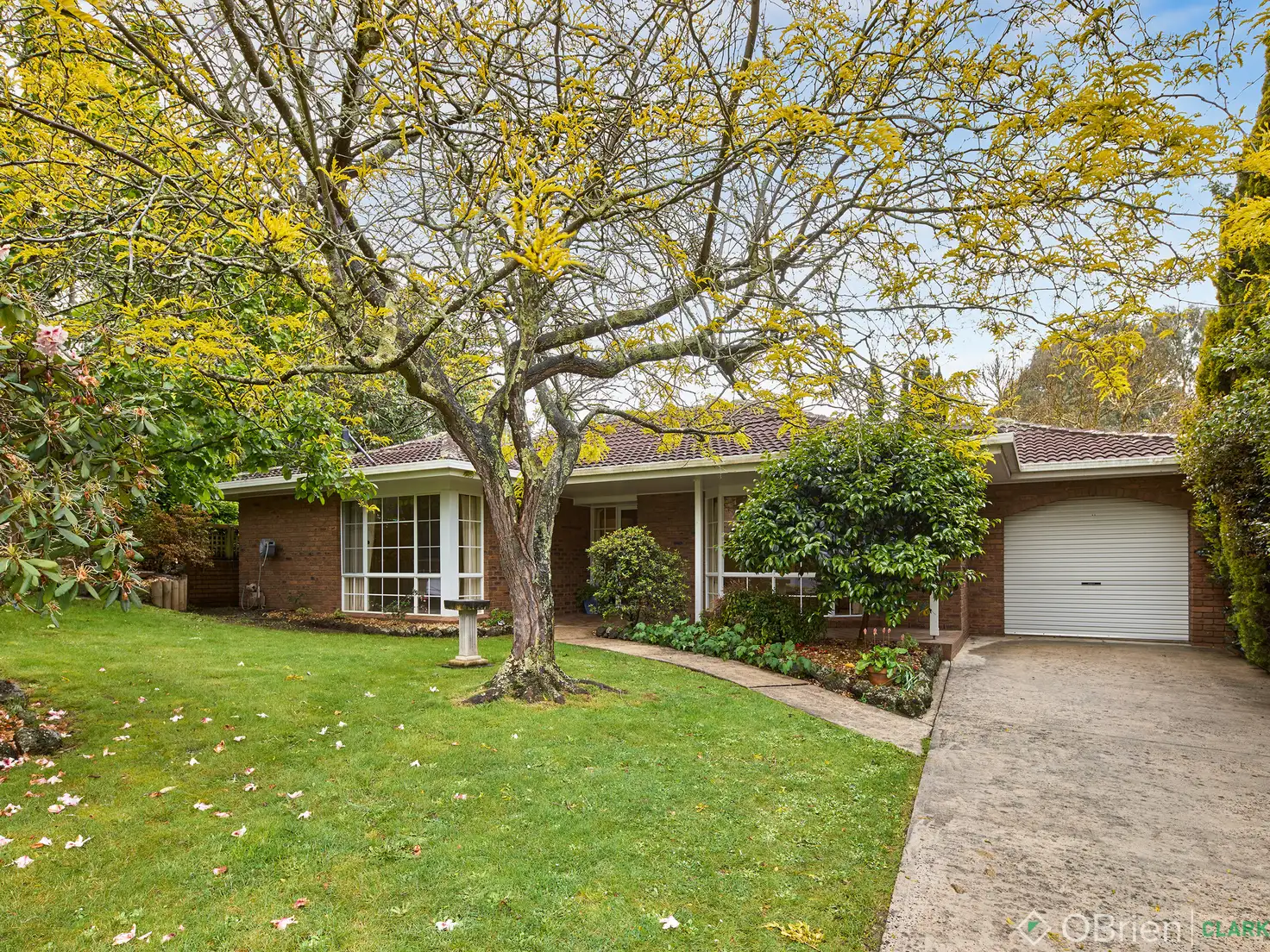 Main view of Homely house listing, 41 Waratah Drive, Warragul VIC 3820