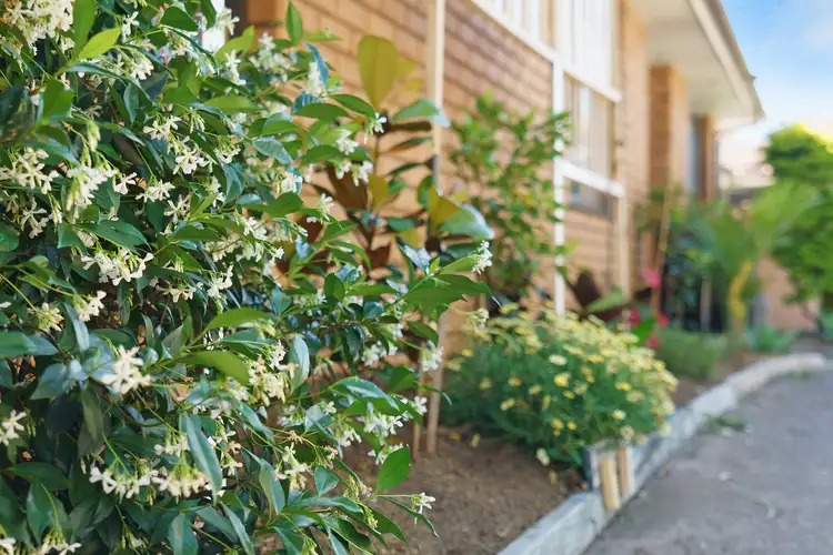 Sixth view of Homely villa listing, 4/22 Chiswick Road, Greenacre NSW 2190