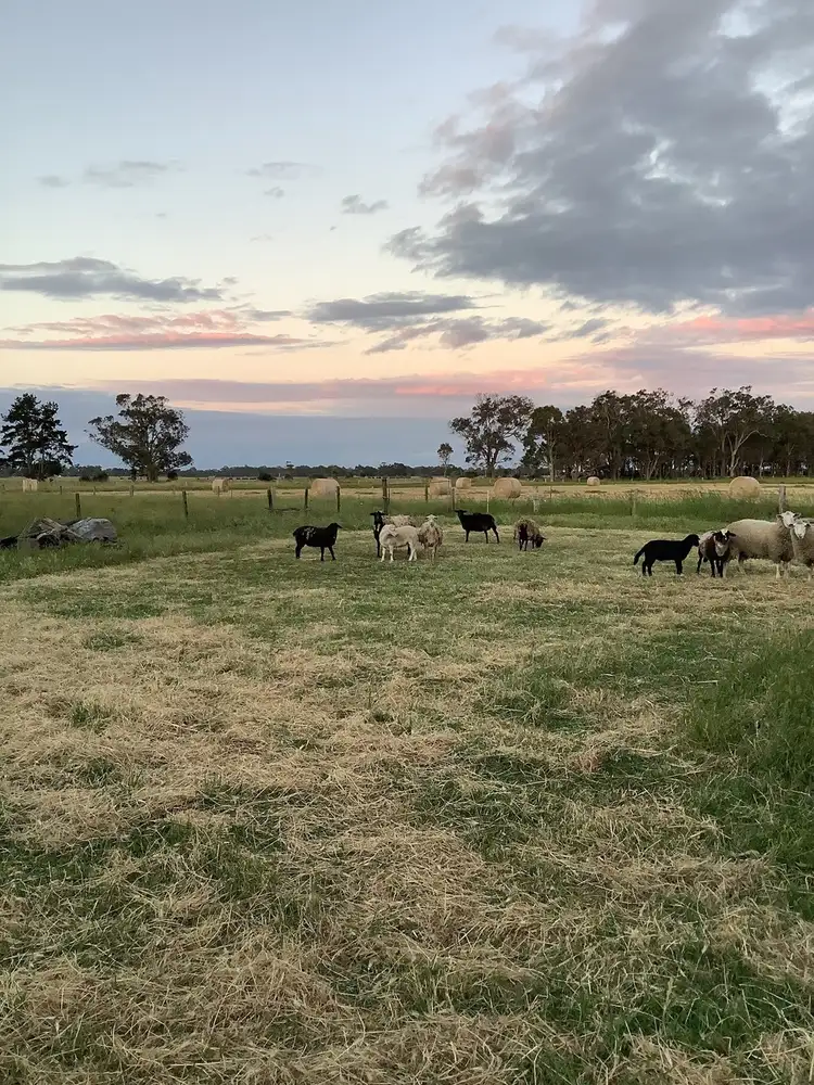 Fifth view of Homely rural property listing, 4778 Jalbarragup Road, Acton Park WA 6280