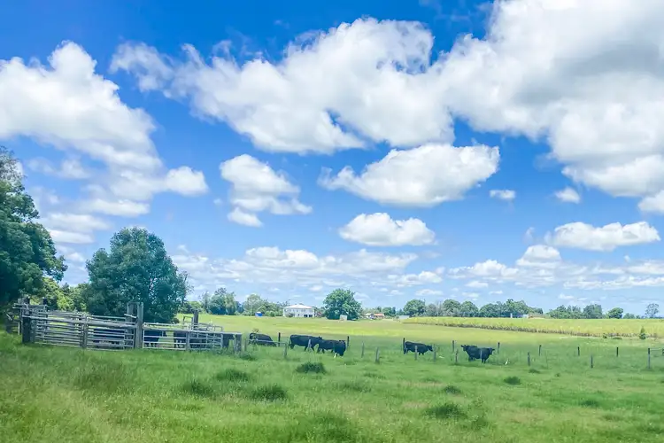 Fifth view of Homely land listing, 26 Point Road, Coldstream NSW 2462