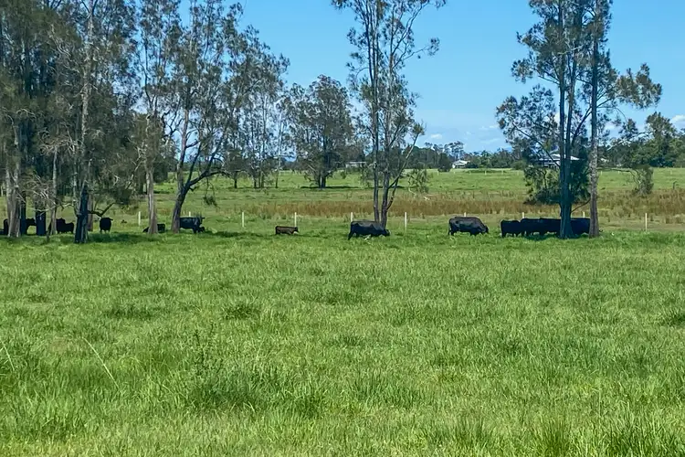 Seventh view of Homely land listing, 26 Point Road, Coldstream NSW 2462