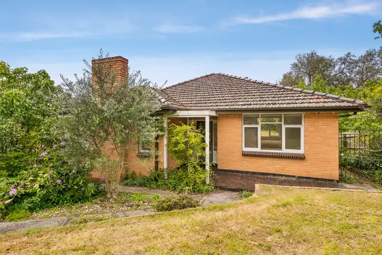 Main view of Homely house listing, 16 Drina Street, Strathmore VIC 3041
