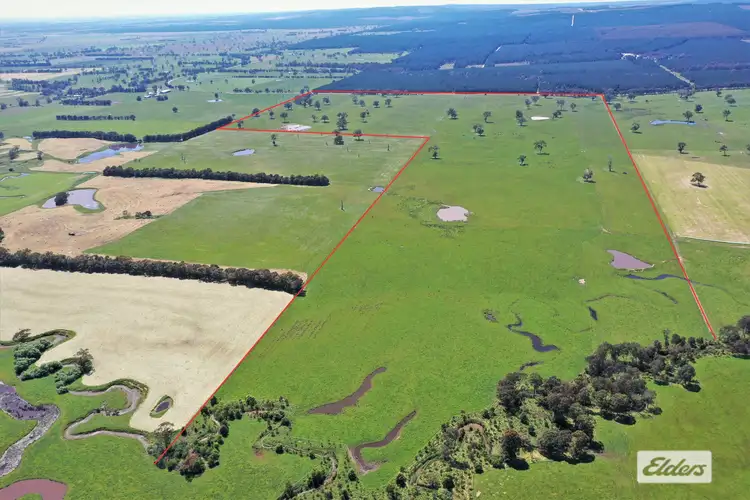 Main view of Homely rural property listing, Rosedale - Flynns Creek Road, Flynn VIC 3844