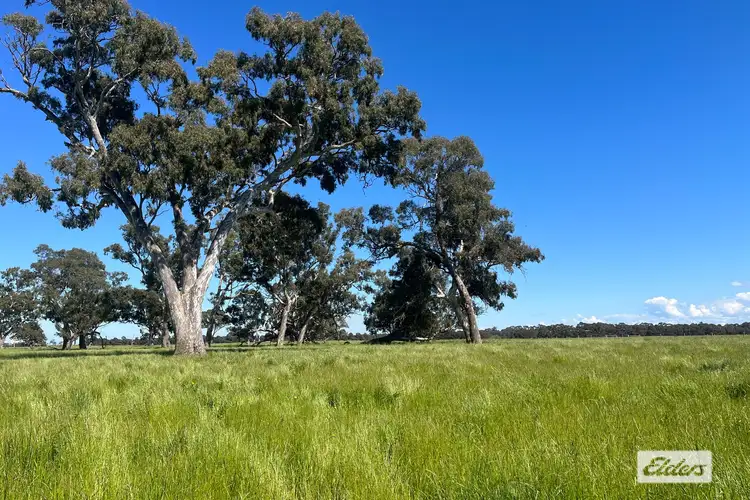 Second view of Homely rural property listing, Rosedale - Flynns Creek Road, Flynn VIC 3844