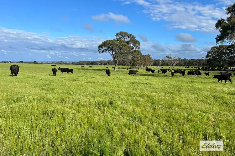 Fourth view of Homely rural property listing, Rosedale - Flynns Creek Road, Flynn VIC 3844