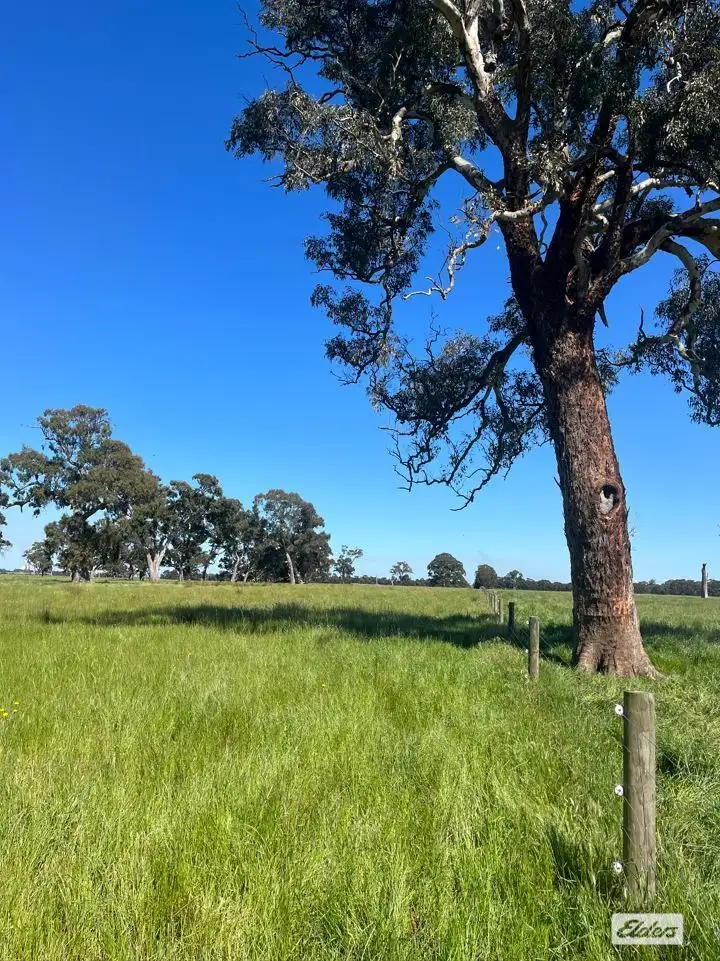 Seventh view of Homely rural property listing, Rosedale - Flynns Creek Road, Flynn VIC 3844