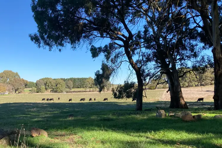 Third view of Homely rural property listing, 437 Creek Junction Road Kithbrook Via, Strathbogie VIC 3666