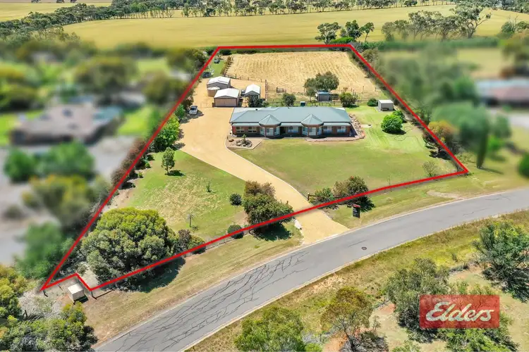 Fourth view of Homely house listing, 41 Barkley Drive, Gawler Belt SA 5118