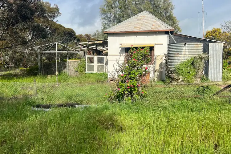 Sixth view of Homely house listing, 3-5 Park Terrace, Pinnaroo SA 5304