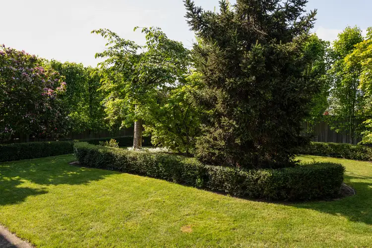 Sixth view of Homely house listing, 10 Trotsford Crescent, Newstead TAS 7250