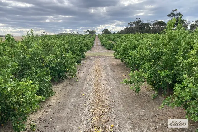 Third view of Homely rural property listing, 16 Raapita Road, Toorloo Arm VIC 3909