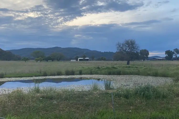 Second view of Homely rural property listing, 24 Plenty Road, Mudgee NSW 2850