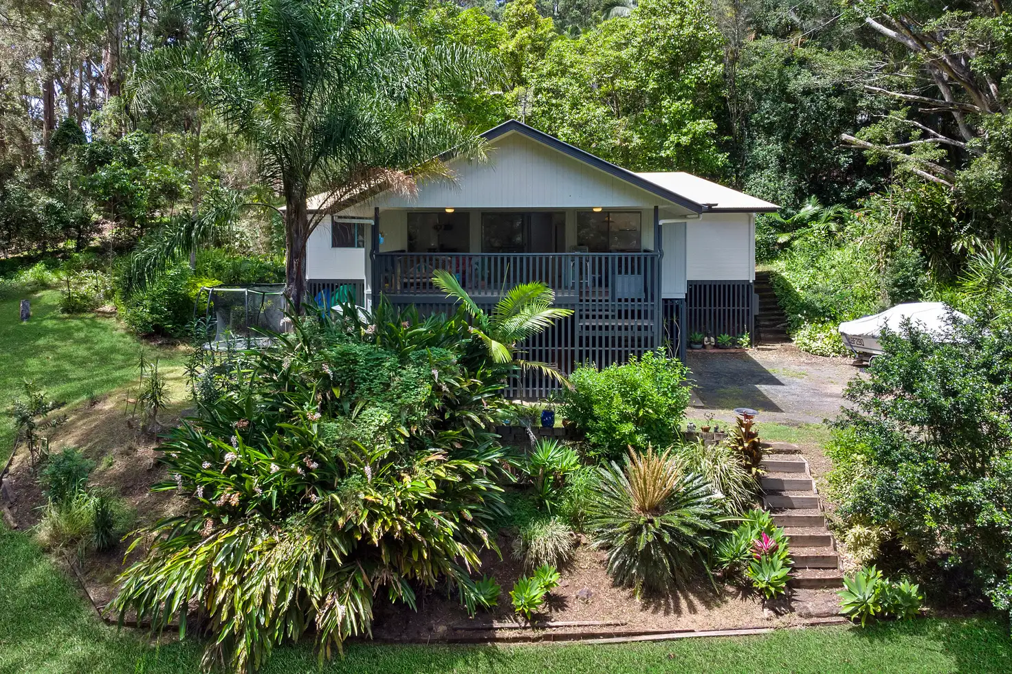 Main view of Homely house listing, 41 Mango Vale Court, Diddillibah QLD 4559