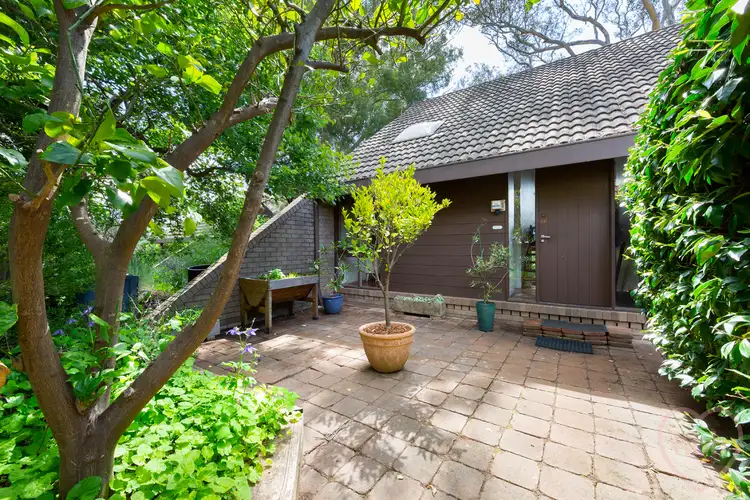 85 Wybalena Grove, Cook ACT 2614