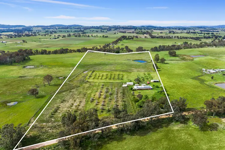 Second view of Homely rural property listing, 122 Drip Lane, Mudgee NSW 2850