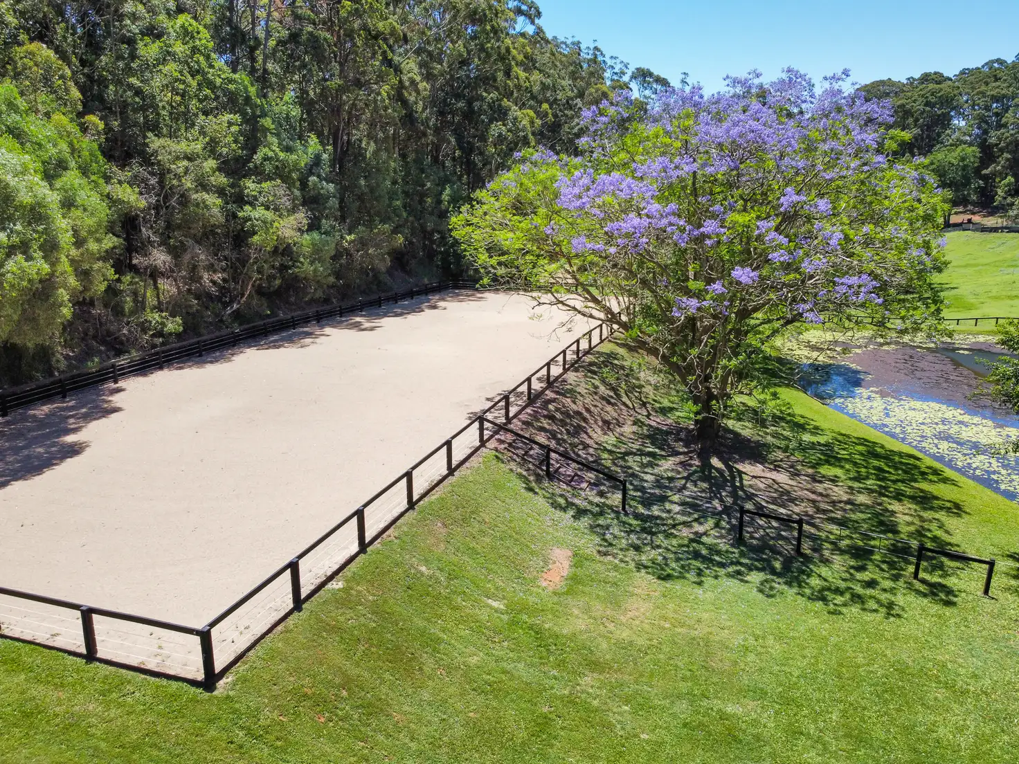 Main view of Homely house listing, 437-443 Diddillibah Road, Diddillibah QLD 4559