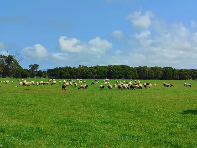Fifth view of Homely land listing, LOT 3 Coast Road, Lady Barron TAS 7255