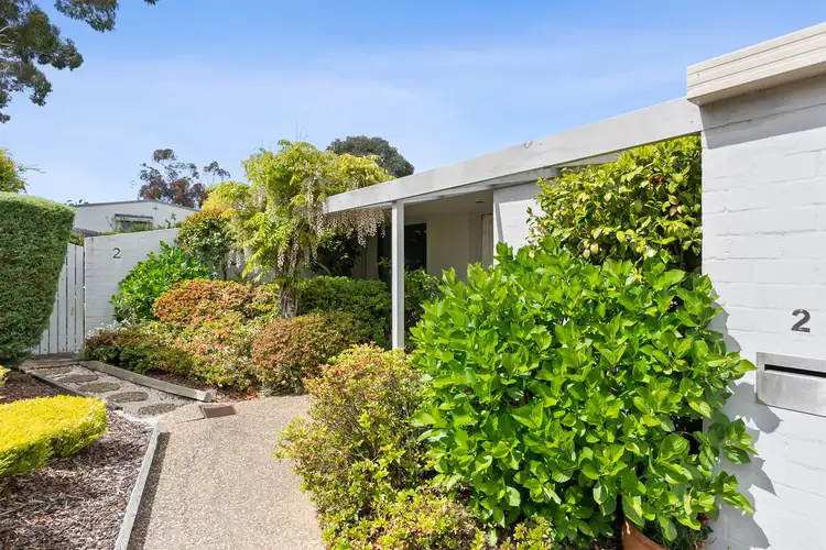 Main view of Homely townhouse listing, 2/146 Shackleton Circuit, Mawson ACT 2607