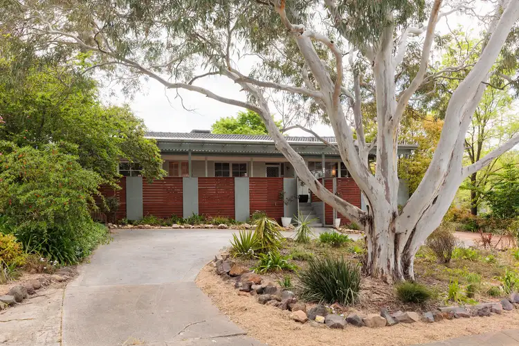 22 Bathurst Place, Macquarie ACT 2614